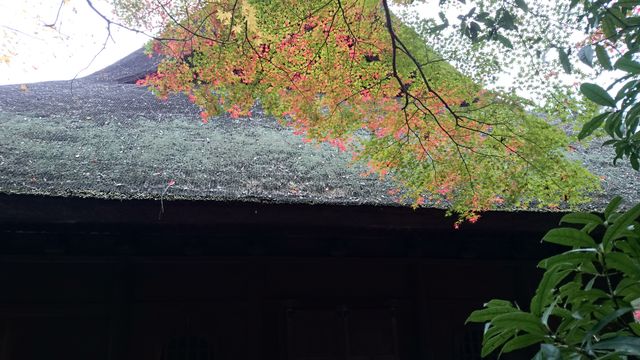 2015-11-22 09.15.02.jpg