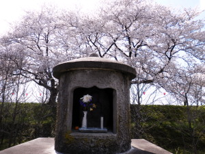 野仏と桜　4.11　2014