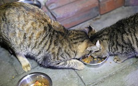 5DA_9324-19.jpg