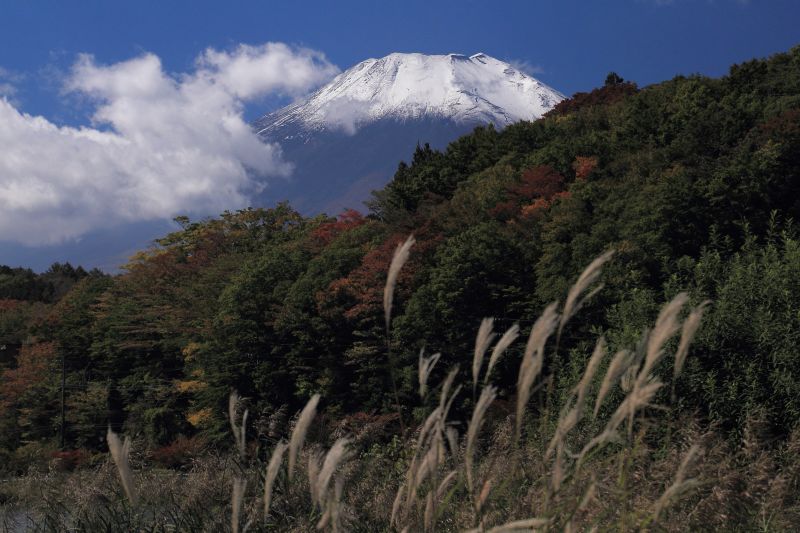 関東散策回顧_004.jpg