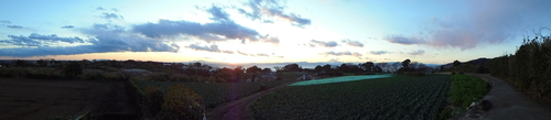 丘の夕日.JPG
