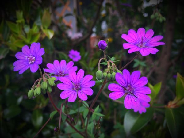 rblog-20160427174116-07.jpg