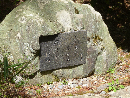 P1100072(1).JPG