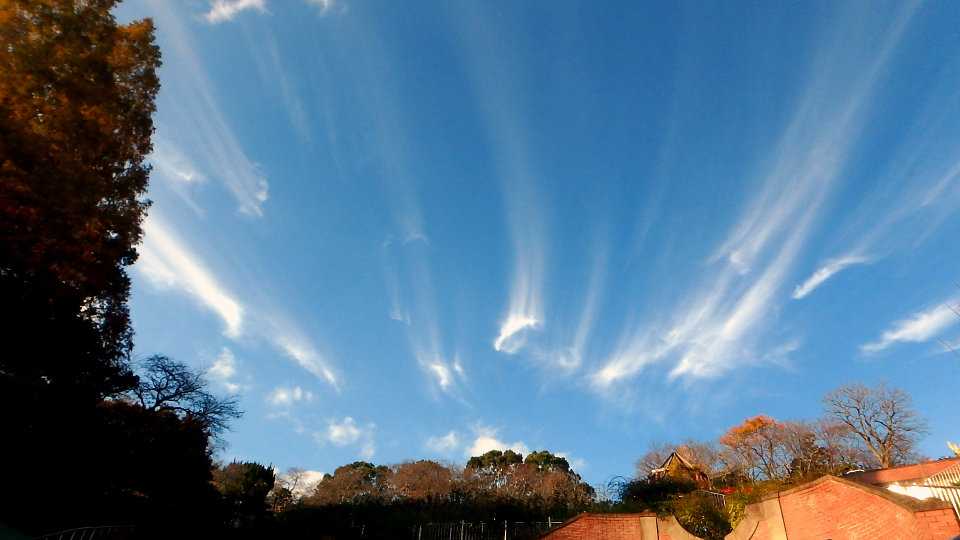 穴あき雲 と関連 岡山では オーロラ のような雲が出現 半田山植物園 ほか 楽天版じぶん更新日記 楽天ブログ