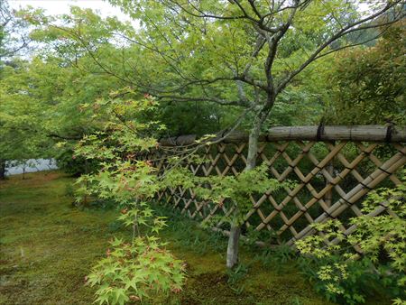 京都　鷹峯　光悦寺