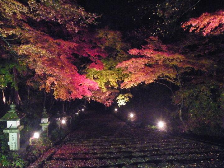 しが湖西b10胡宮神社.JPG