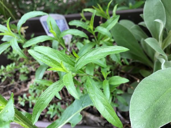 rblog-20180430174315-05.jpg