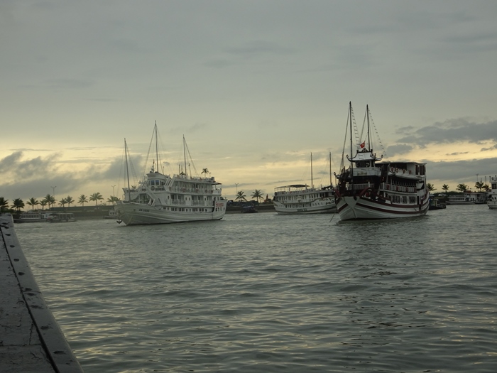 DSC09473_R.JPG