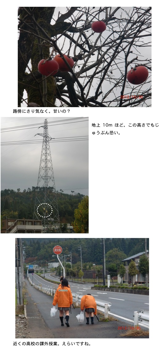 2012.10.31-5.jpg