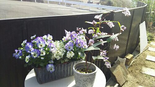 rblog-20180409210317-01.jpg