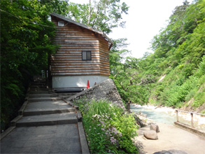夏油15.jpg