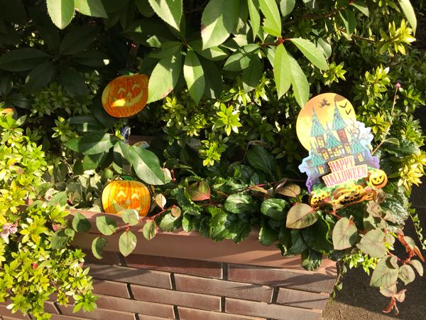 rblog-20181103151508-03.jpg