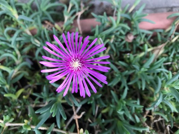 rblog-20180928161205-09.jpg
