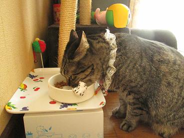 食べる