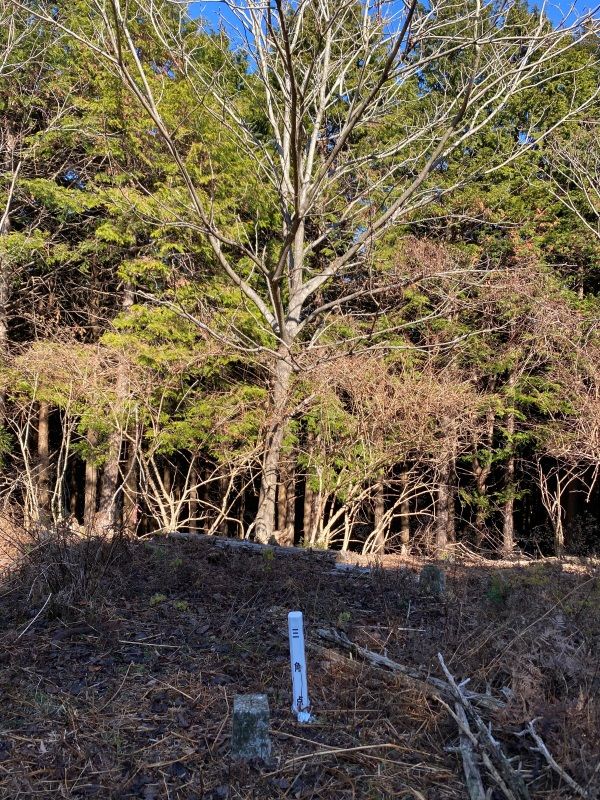 大野山（401m）山梨県身延町（2） | 醍醐山と下部（しもべ）温泉 - 楽天ブログ