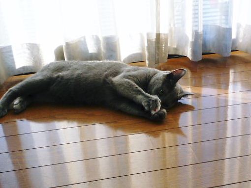2012年12月27日_P1110150.jpg