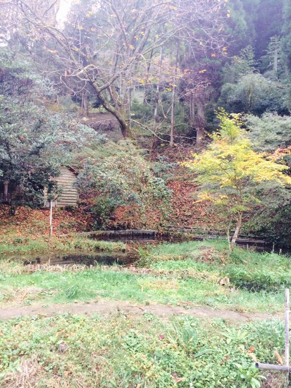 rblog-20141107173928-00.jpg
