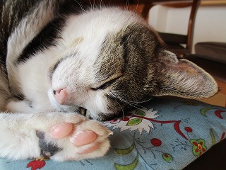 IMG_4449ss.jpg