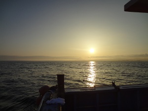 DSC02954.JPG