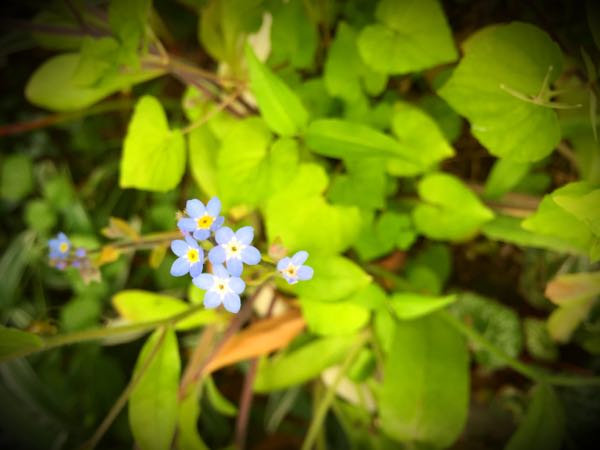 rblog-20150528193940-02.jpg