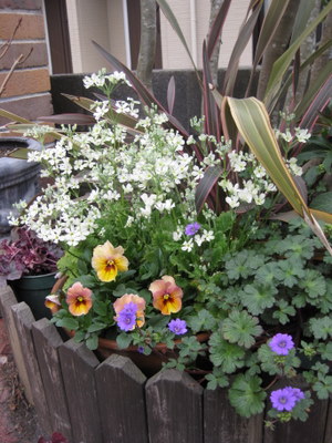 画像 4592.jpg