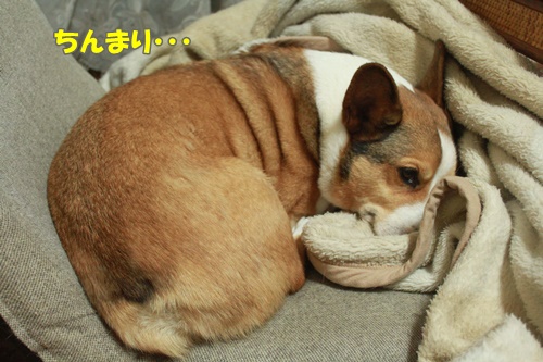 IMG112904.JPG