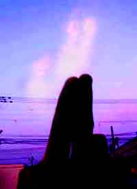 My power.