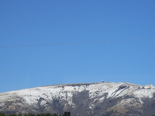 IMG_2906ss.jpg