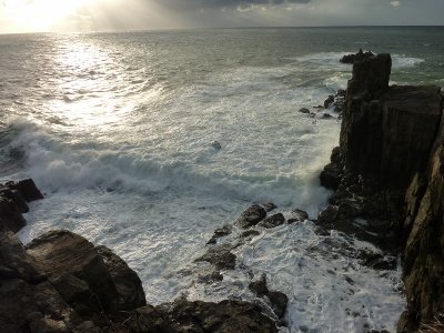 010 (400x300).jpg