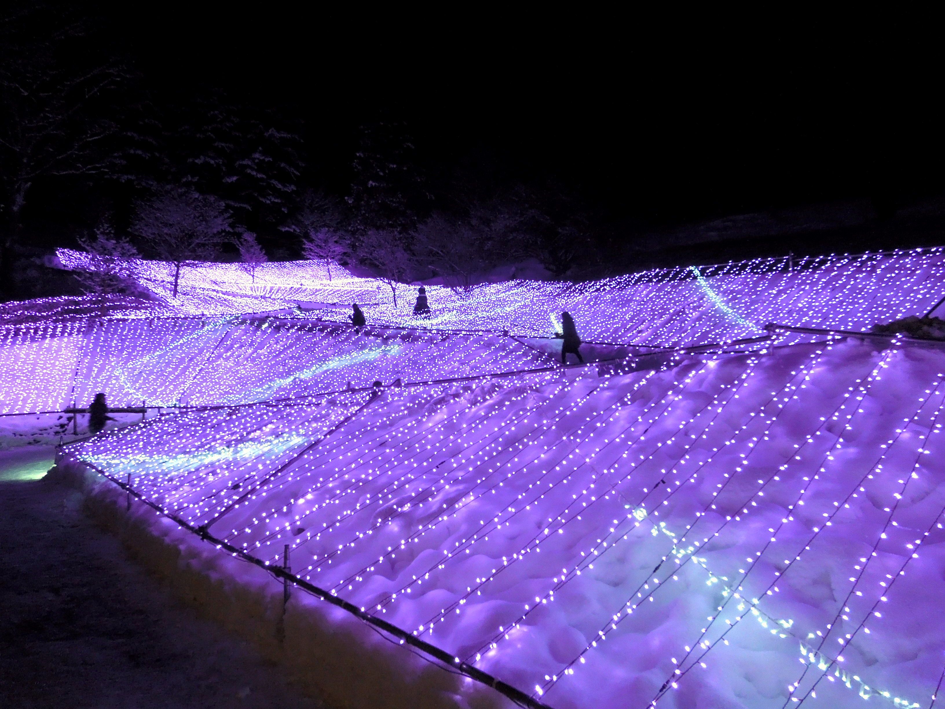 県央 岩手町 まるでラベンダー園 石神の丘美術館バレンタインイルミネーション イーハトーブログ 楽天ブログ