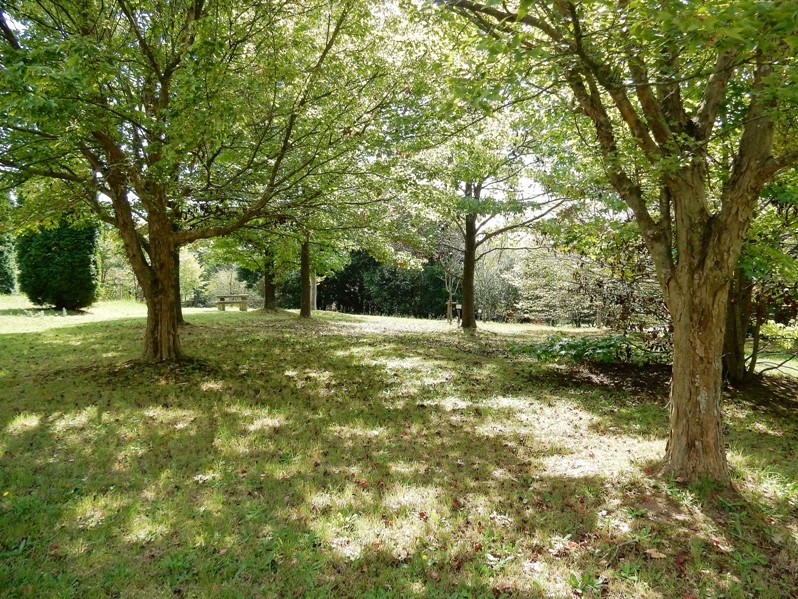 香りの丘