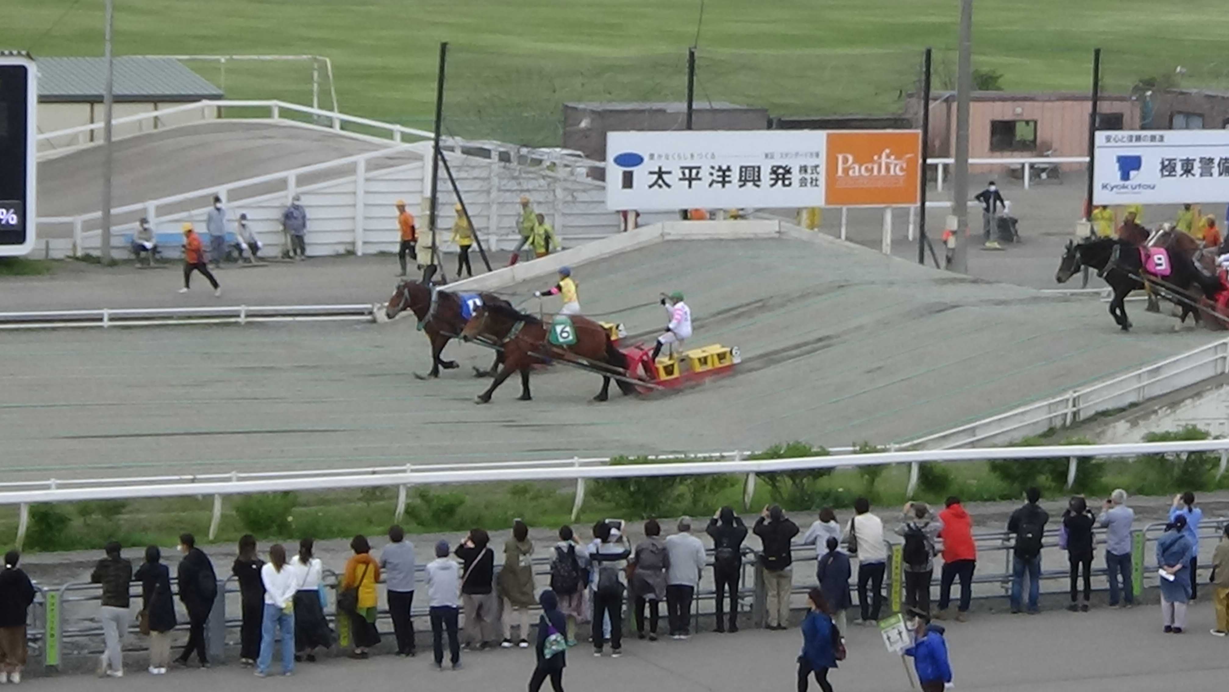 2歳馬続々デビュー | 地方競馬の楽天競馬｜日替わりライター
