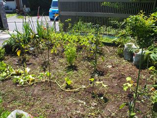 P7030619_R.JPG