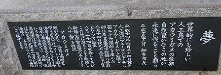 DSC05064.jpg