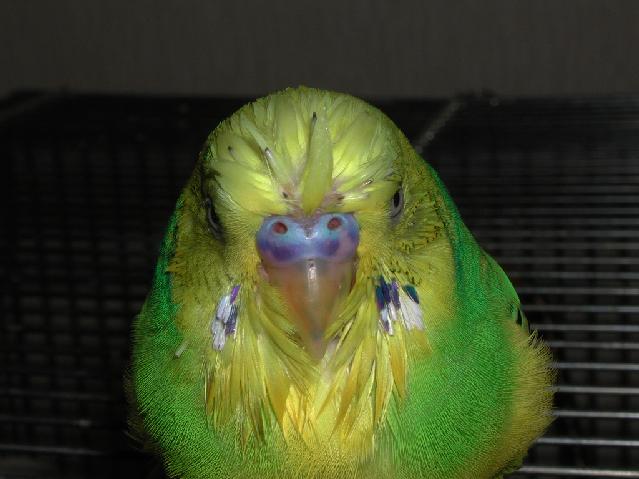 DSCN5059.jpg