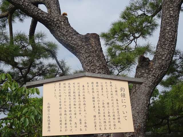 DSC05558_R.JPG