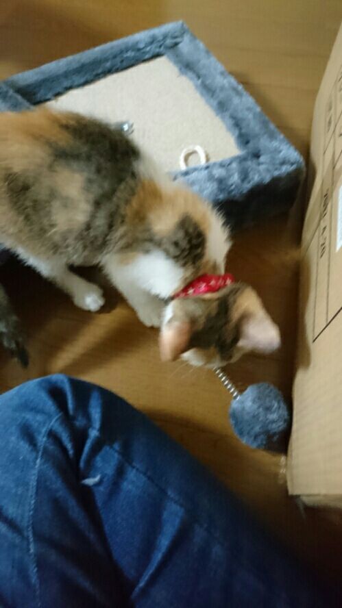 rblog-20170712193712-01.jpg