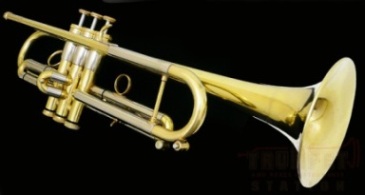 torannpetto.jpg