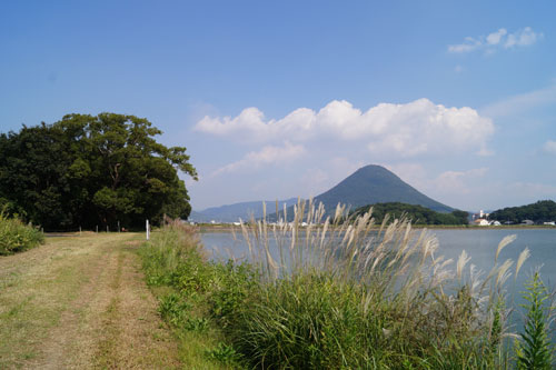 DSC08743.jpg