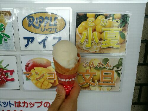 rblog-20150601083952-02.jpg