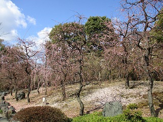 IMG_7348ss.jpg