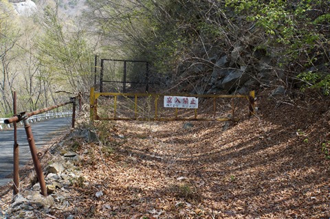 DSC04294.JPG