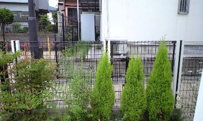 003.JPG
