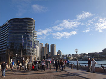OZ1205.jpg