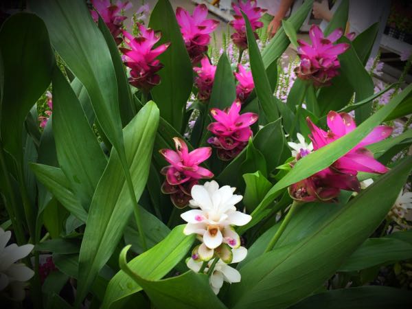 rblog-20160911170221-05.jpg