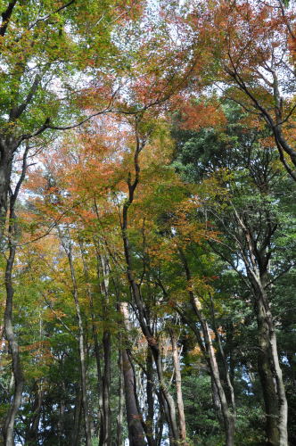 寺家公園