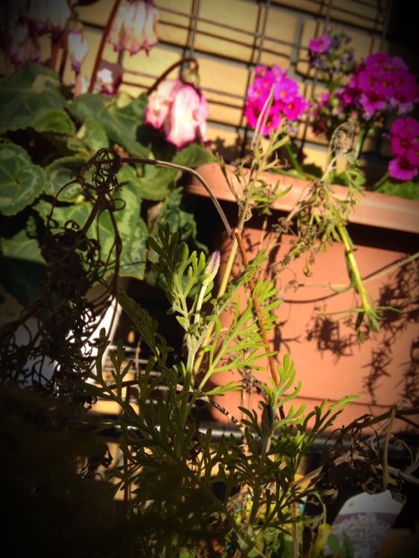 rblog-20141231140627-01.jpg