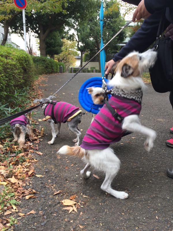 rblog-20161110172616-05.jpg