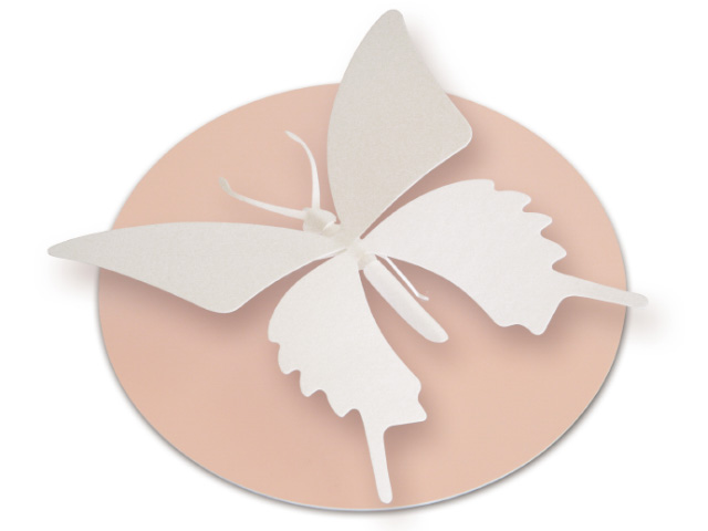 ライトチョウホワイト