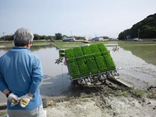 田植機に乗せて